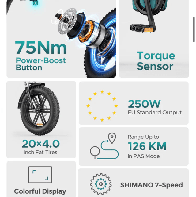 Engwe L20 Boost Electric Bike - Black 