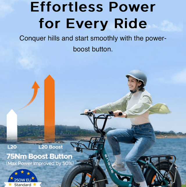 Engwe L20 Boost Electric Bike - Black 