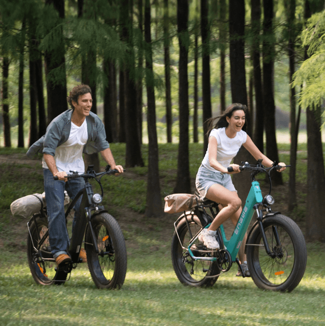Engwe E26 Electric Step Through Bike - Black 